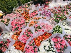 -循礼门鲜花花市(武汉循礼门店)