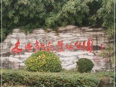 -木塔寺遗址生态公园