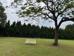 -南沙蒲洲花园
