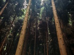 -太阳湾风景区