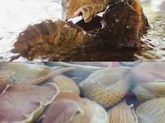 -三亚火车头万人海鲜广场