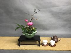 -荷兰布尔玛国际花艺学院