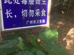 -火炉山森林公园