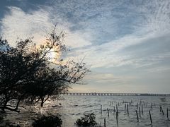 -宝安西湾红树林湿地公园