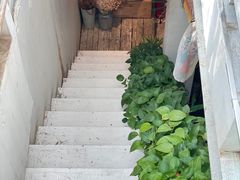 -小时光咖啡馆(北锣鼓巷店)