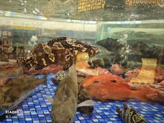 -顺德人家食府(黄金广场店)