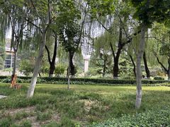 -中国农业博物馆