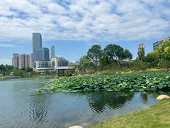 -后襄河公园
