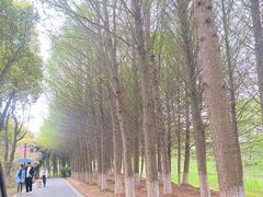 -苏州太湖国家湿地公园