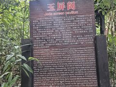 -大围山国家森林公园