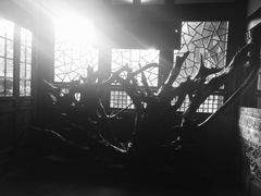 -星巴克臻选(成都宽窄巷子店)