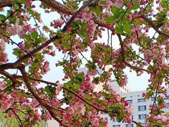 -元大都城垣遗址公园