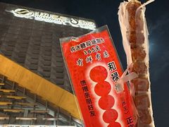 -和禄德冰糖葫芦