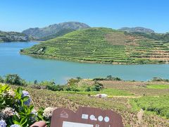 -嵛山岛