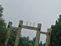 -黄金寨原生态旅游区