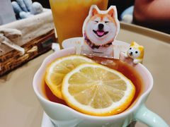-逗柴咖啡屋·狗咖猫咖宠物桌游