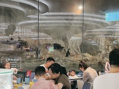 -帝企鹅自助餐厅•儿童岛•真企鹅(长隆企鹅酒店)