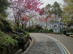 -杭州半山国家森林公园