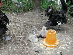 -长兴太湖图影湿地文化园