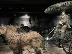 -秦始皇帝陵博物院(兵马俑)