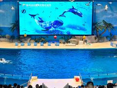 -泉城欧乐堡海洋极地世界