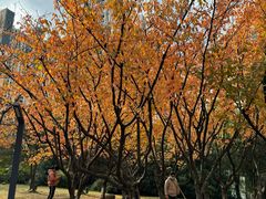 -苏州河梦清园环保主题公园