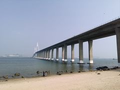 -中澳友谊花园