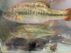 -天和楼·精致太湖酒家(太湖店)