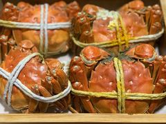 -黄记大闸蟹专卖店·活蟹·醉蟹