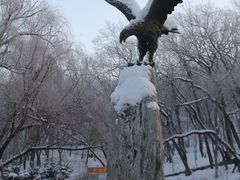 -北山公园