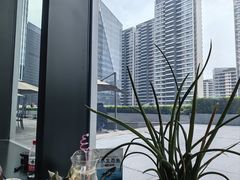 -凤凰湘语(浦东旗舰店)