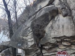 -黑龙潭风景区