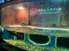 -成都浩海立方海洋公园