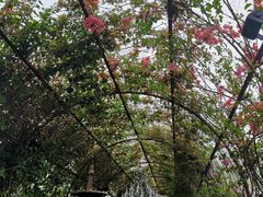 -The Grounds of Alexandria