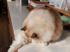 -灯塔咖啡馆BOOK·Coffee Shop