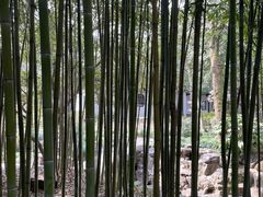 -秋霞圃
