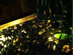 -花马天堂云南餐厅 Lost Heaven(高邮路店)