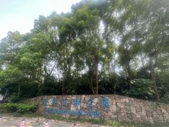 -宝界山林公园