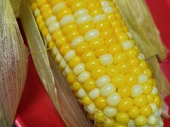 -光明刘冰乳鸽店(光明法政北路店)