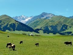 -新疆那拉提国家旅游度假区