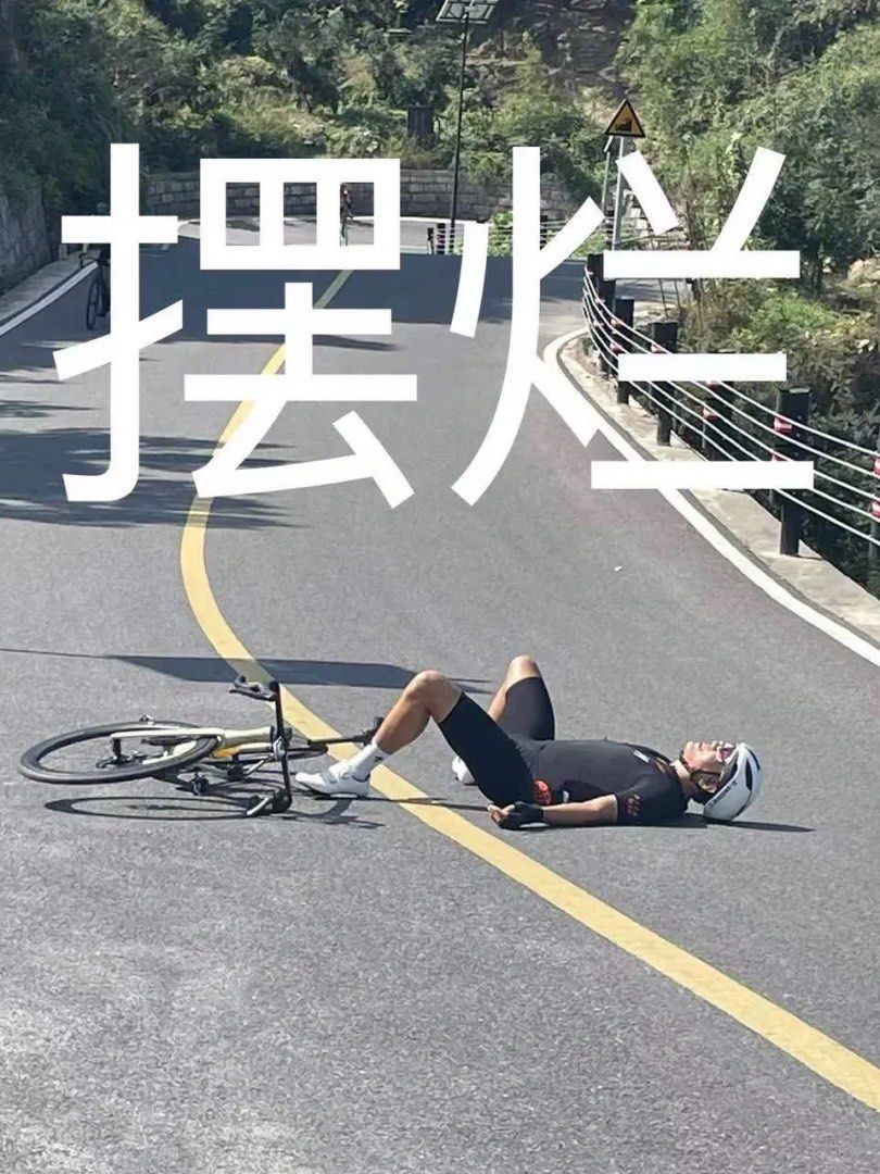 n
直接0速摔,当场社死,然后被做成了表情包