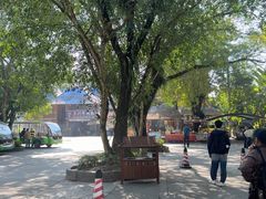-西双版纳傣族园