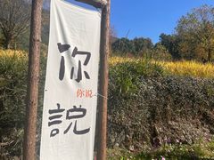 -塔川景区
