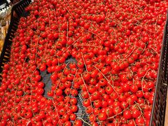 -永辉超市(嘉定宝龙广场店)