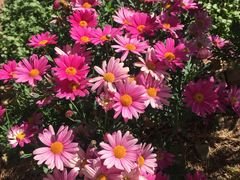 -再回首鸡肉米线(人民路一店)