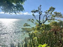 -大理洱海