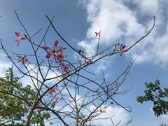 -广东花都香草世界旅游度假区