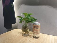 -素匠泰茶(三里屯SOHO工体奶茶店)