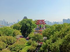 -黄鹤楼公园(黄鹤楼)