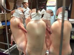 -大鸭梨烤鸭(顺义石园店)